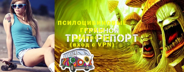 дмт Магас