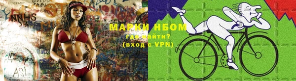 амф Майский